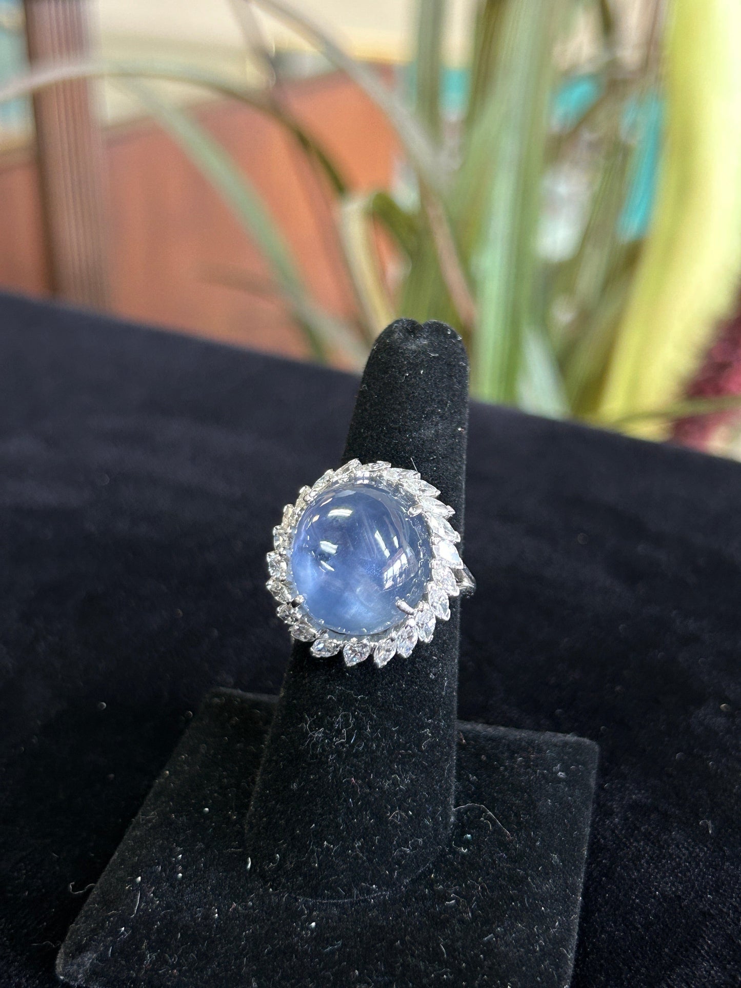 33 Carat Large Star Sapphire with 3 Carat Diamond Halo in Platinum