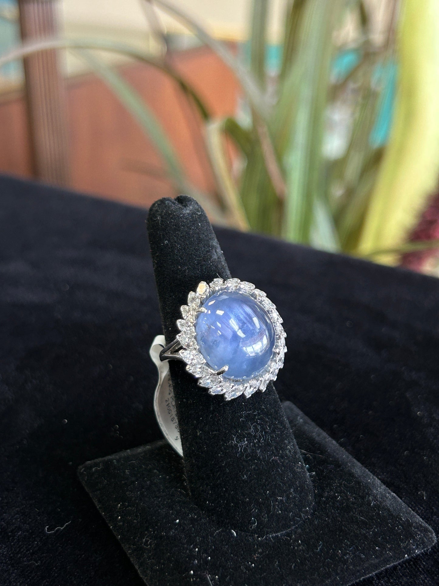 33 Carat Large Star Sapphire with 3 Carat Diamond Halo in Platinum