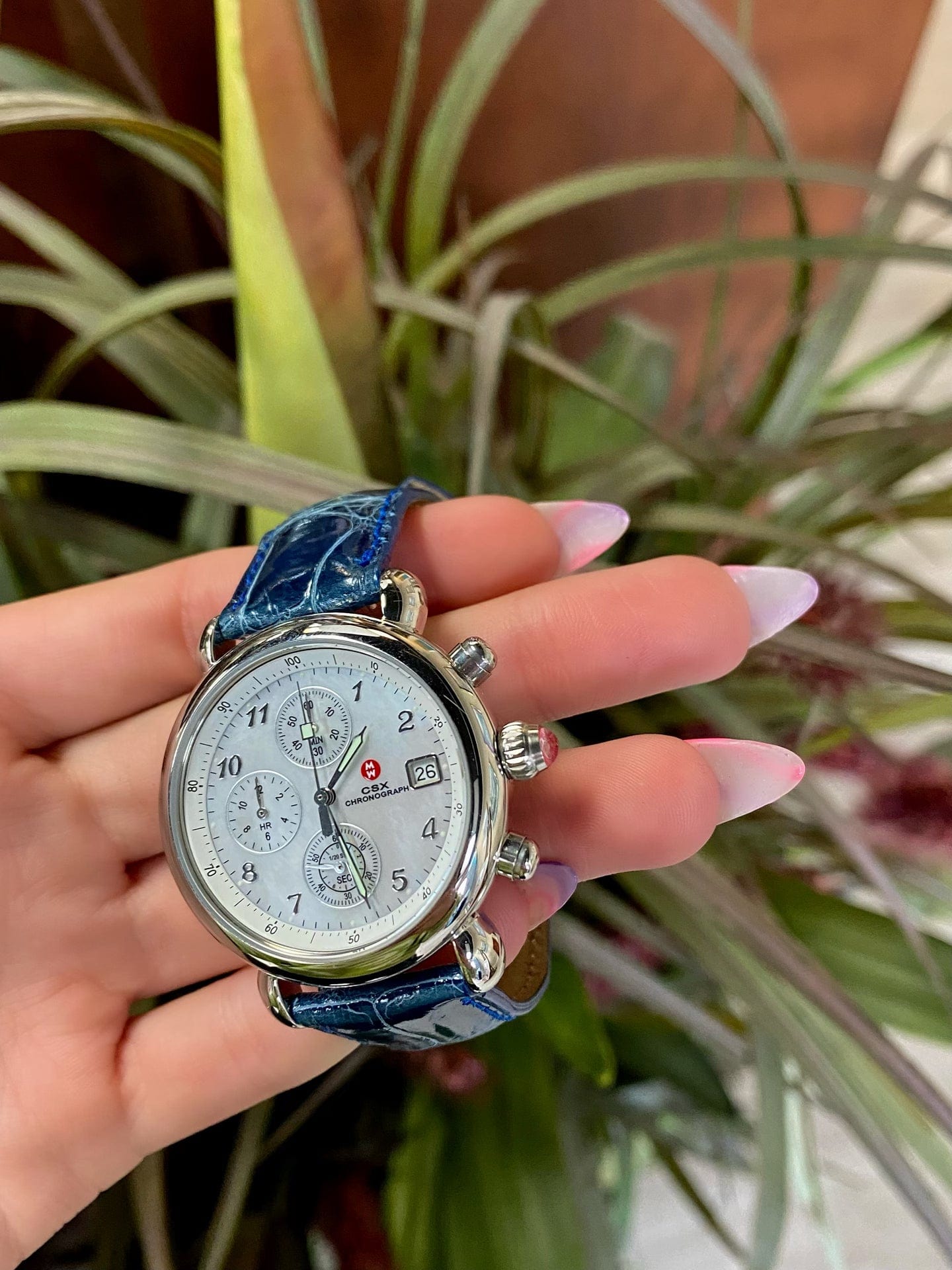 Michelle Chronograph Ladies Watch with Blue Alligator band