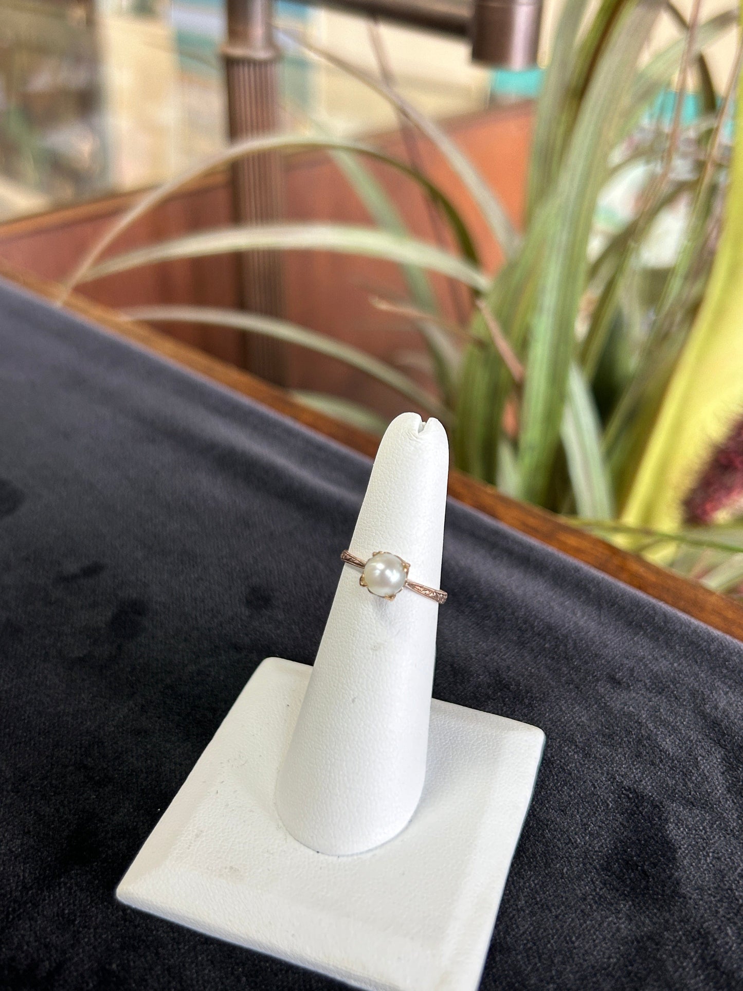 Solitaire Freshwater Pearl Ring with Decorative Shank