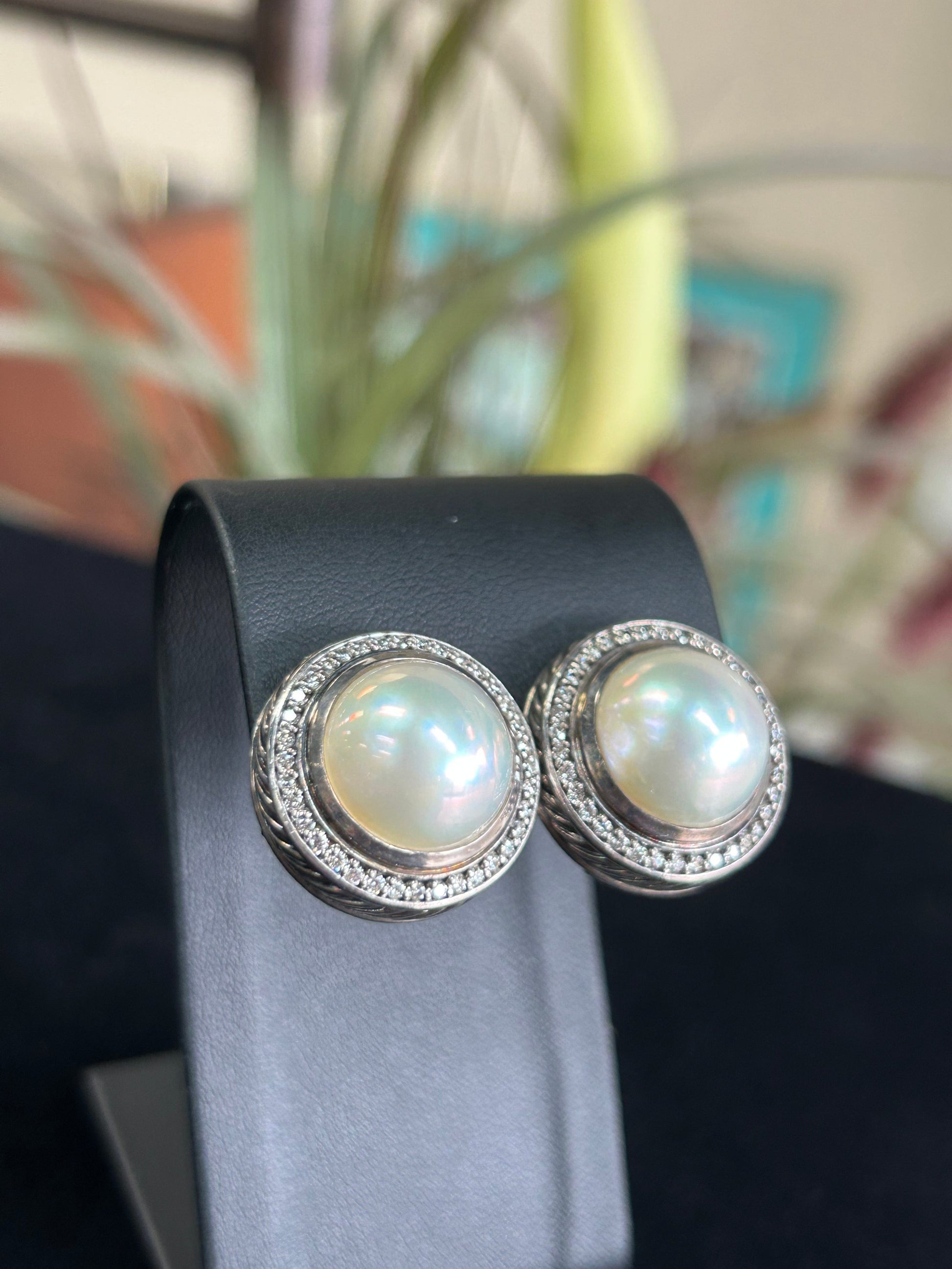 Albion earrings 2025