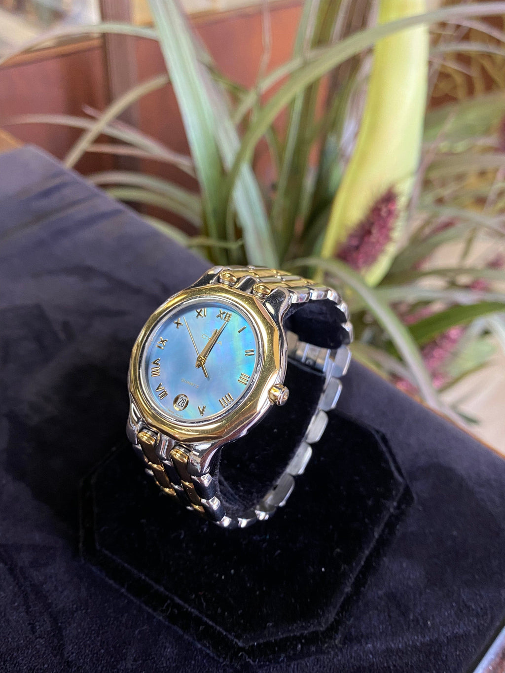 Cyma Signature Series Ladies Watch