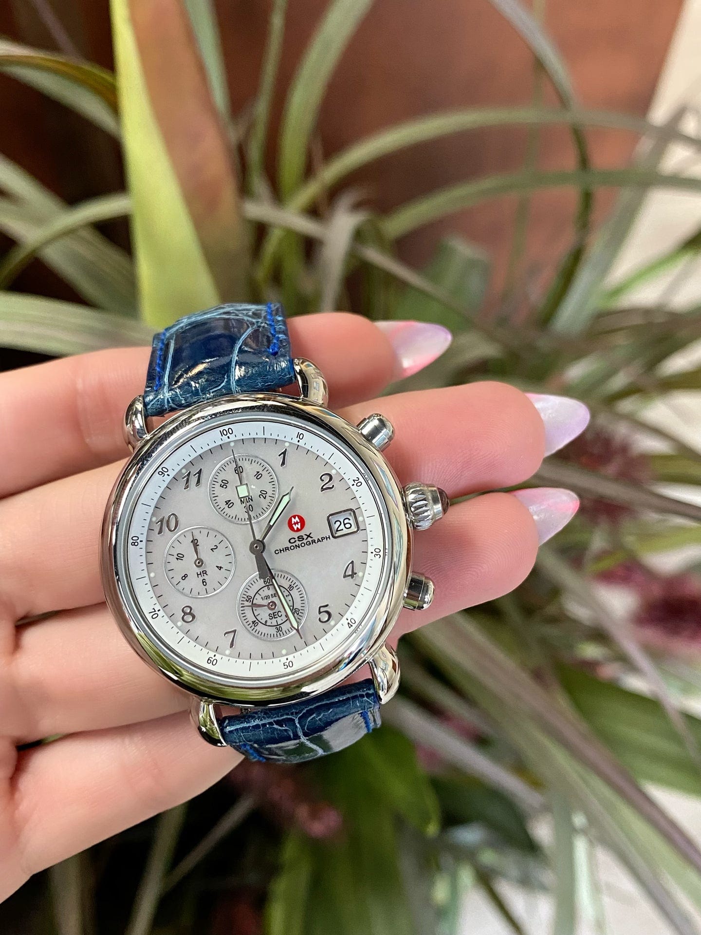 Michelle Chronograph Ladies Watch with Blue Alligator band