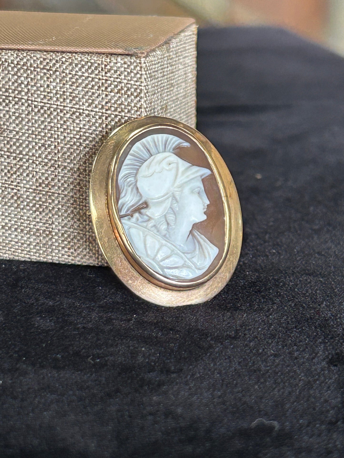 Italian Hand Carved Shell Cameo Yellow Gold 10kt
